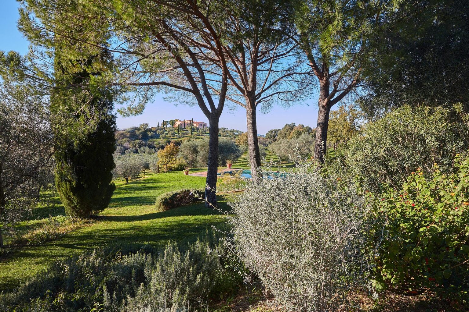 Maremma Hilltop Villa | Tuscany image 4 | Only on SopranoVillas