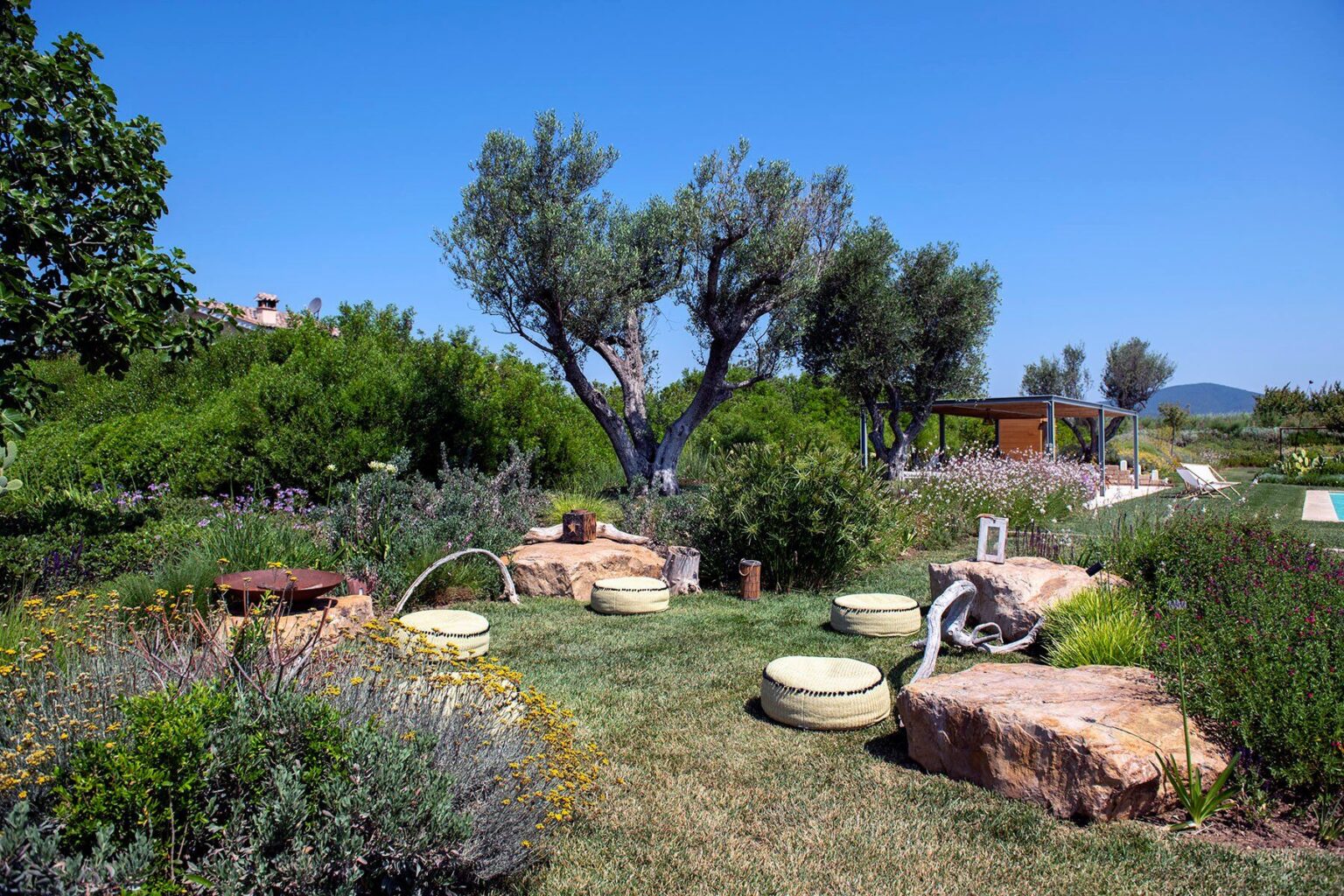 Lush garden landscape featuring olive trees and natural stone elements, surrounded by vibrant greenery and colorful plants under a clear blue sky. | Only on SopranoVillas