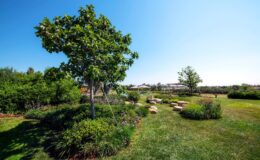  | Only on SopranoVillas