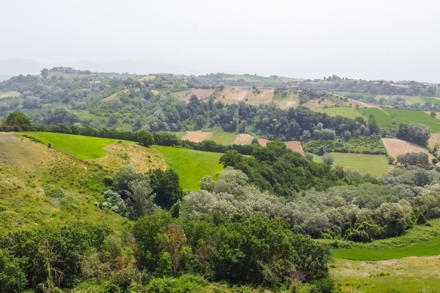 Roman Countryside Estate | Lazio image 5 | Only on SopranoVillas