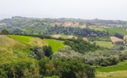 | Only on SopranoVillas