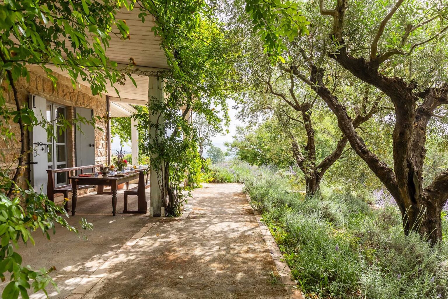 Scenic outdoor patio with a wooden dining table surrounded by lush greenery and trees, showcasing a tranquil natural setting ideal for relaxation. | Only on SopranoVillas