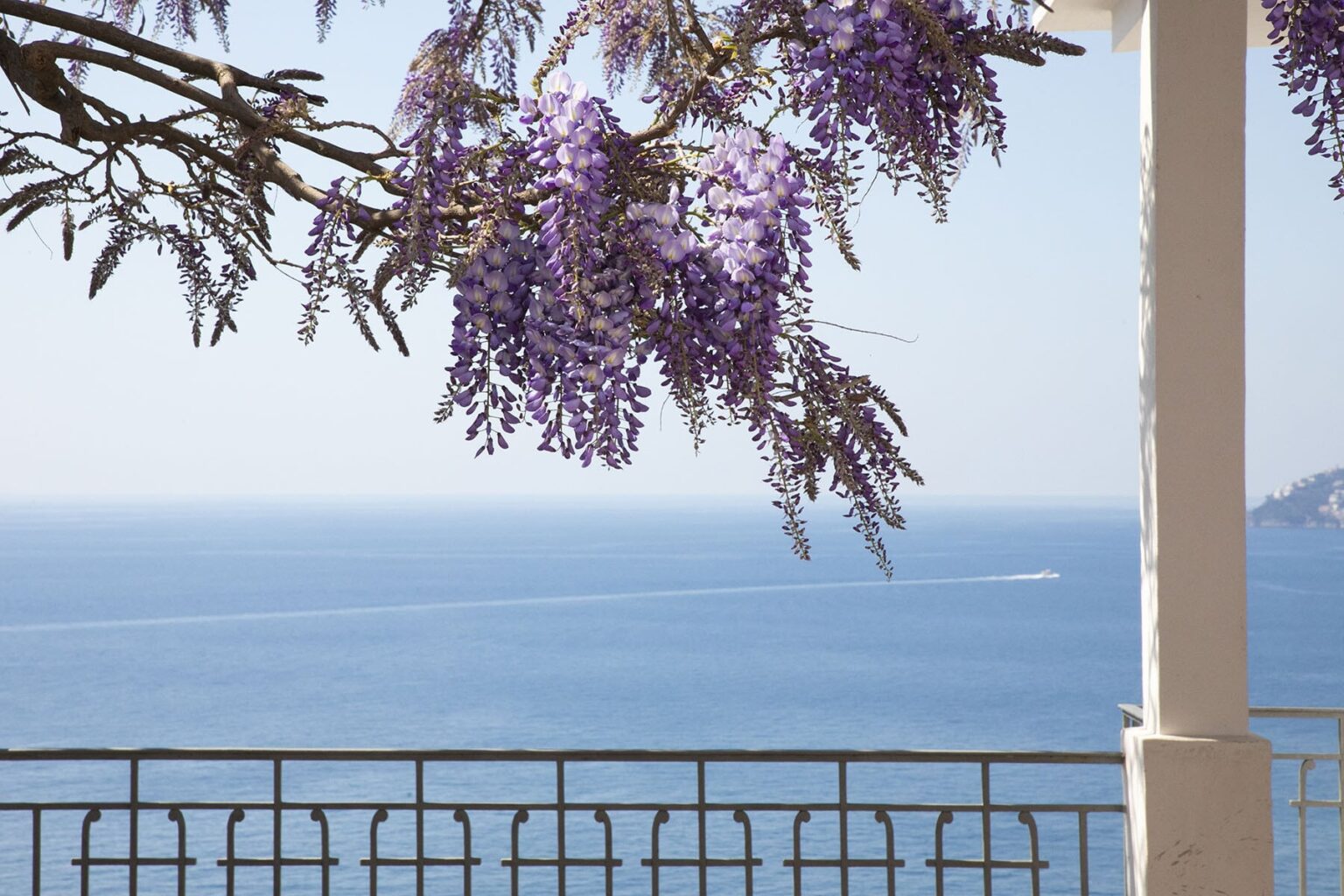 Vibrant purple wisteria flowers hanging over a balcony, with a serene ocean view and a clear blue sky in the background. | Only on SopranoVillas