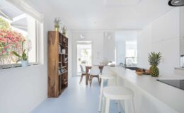 Modern bright kitchen featuring white cabinetry, a wooden bookshelf, and a dining area with a wooden table and chairs. Natural light floods the space, complemented by indoor plants and a pineapple on the counter.