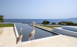 Two elegant sculptures of herons stand by a serene infinity pool overlooking the ocean, with a clear blue sky and lush greenery in the background, showcasing a tranquil coastal landscape.
