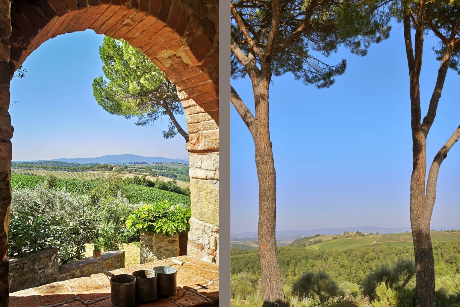 Scenic view of rolling hills and olive groves framed by an archway on the left, and a clear blue sky with tall trees on the right, showcasing the beauty of the countryside. | Only on SopranoVillas