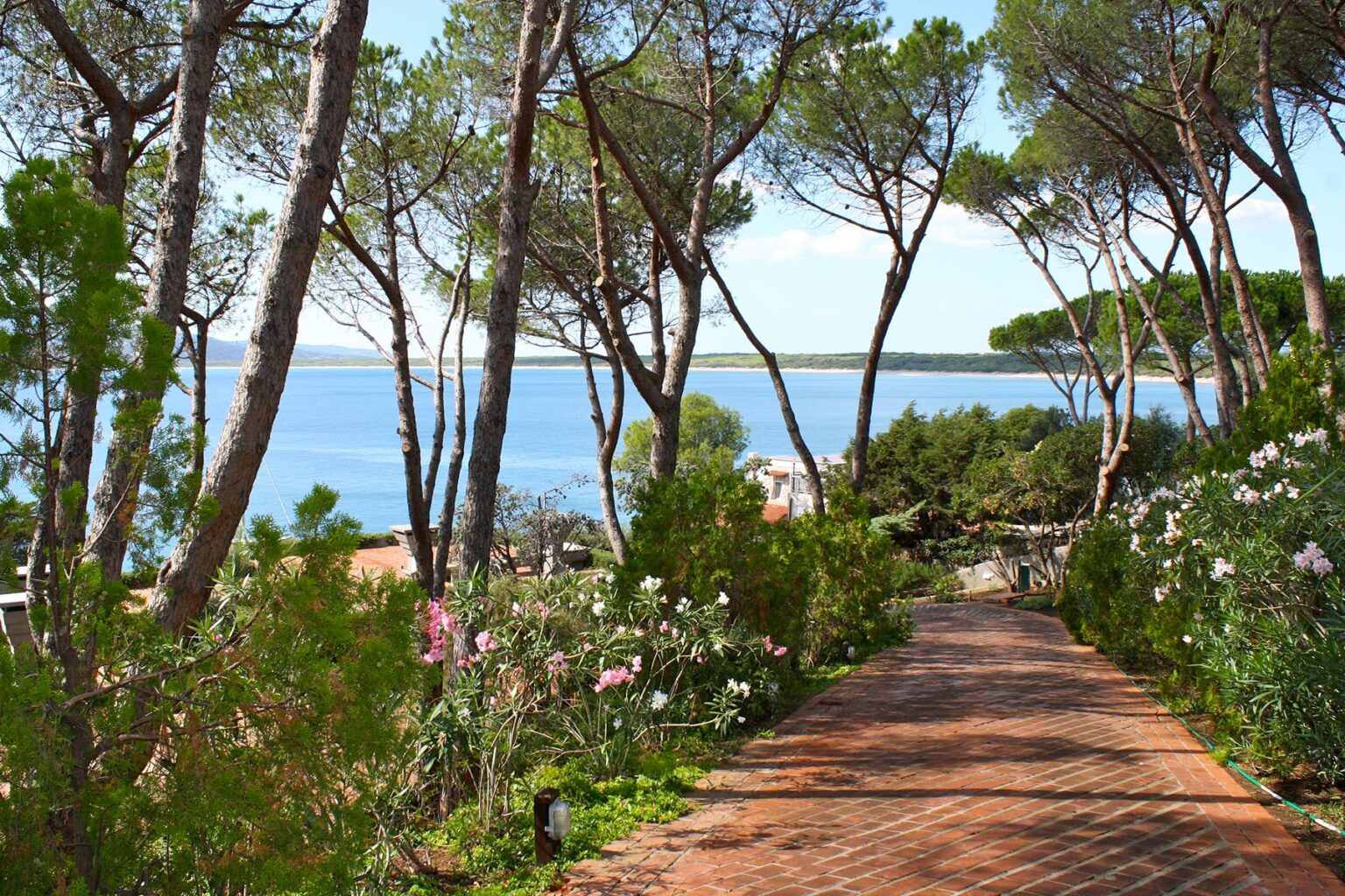 Scenic pathway lined with flowers and trees leading to a tranquil ocean view, perfect for nature lovers and outdoor enthusiasts. | Only on SopranoVillas