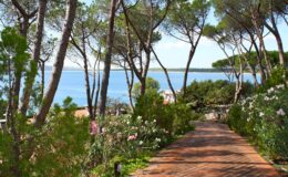 Scenic pathway lined with flowers and trees leading to a tranquil ocean view, perfect for nature lovers and outdoor enthusiasts.