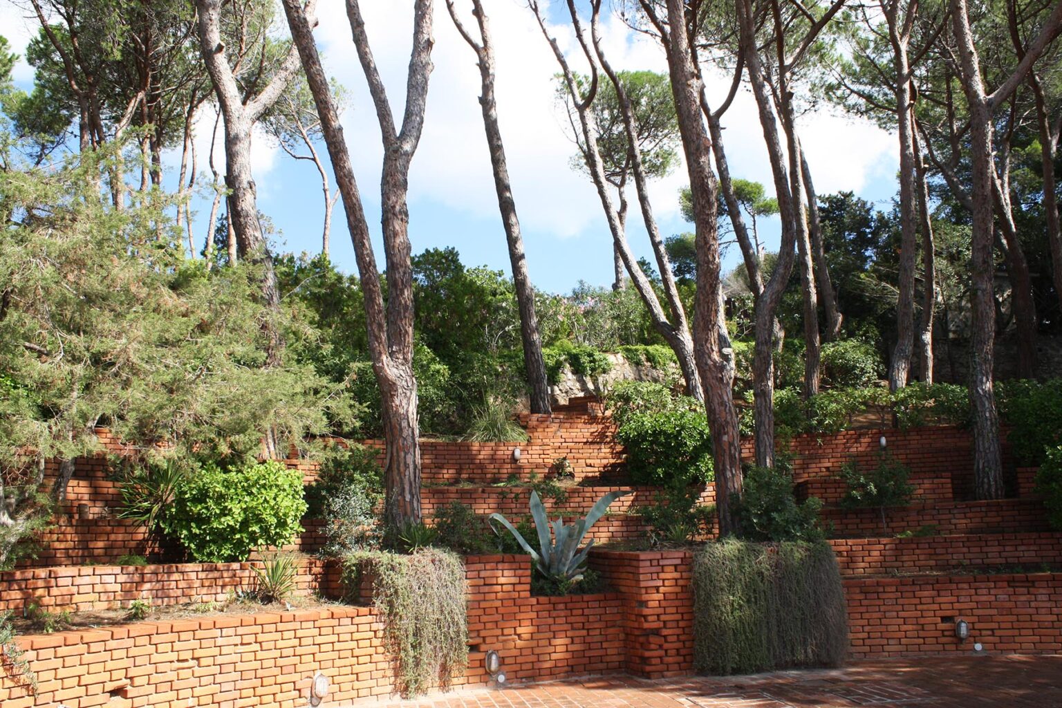 Lush green landscape featuring tall pine trees and terraced brick walls, adorned with various plants and shrubs, creating a serene outdoor environment. | Only on SopranoVillas