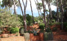 Lush green landscape featuring tall pine trees and terraced brick walls, adorned with various plants and shrubs, creating a serene outdoor environment.