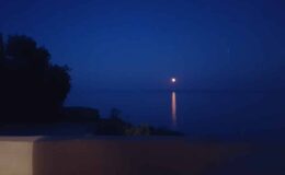 Serene night landscape featuring a calm lake reflecting the full moon, surrounded by silhouettes of trees and a clear blue sky.