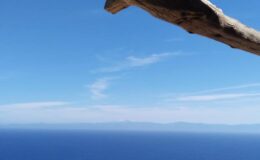 Scenic view of the ocean under a clear blue sky with wispy clouds and a wooden branch framing the top of the image.
