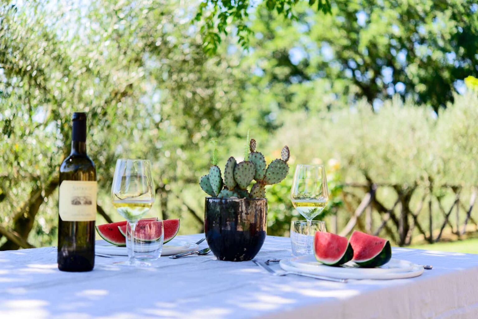 A beautifully arranged outdoor table featuring a bottle of white wine, two wine glasses, a succulent plant in a black pot, and slices of fresh watermelon, surrounded by lush greenery and olive trees. | Only on SopranoVillas