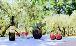  | Only on SopranoVillas