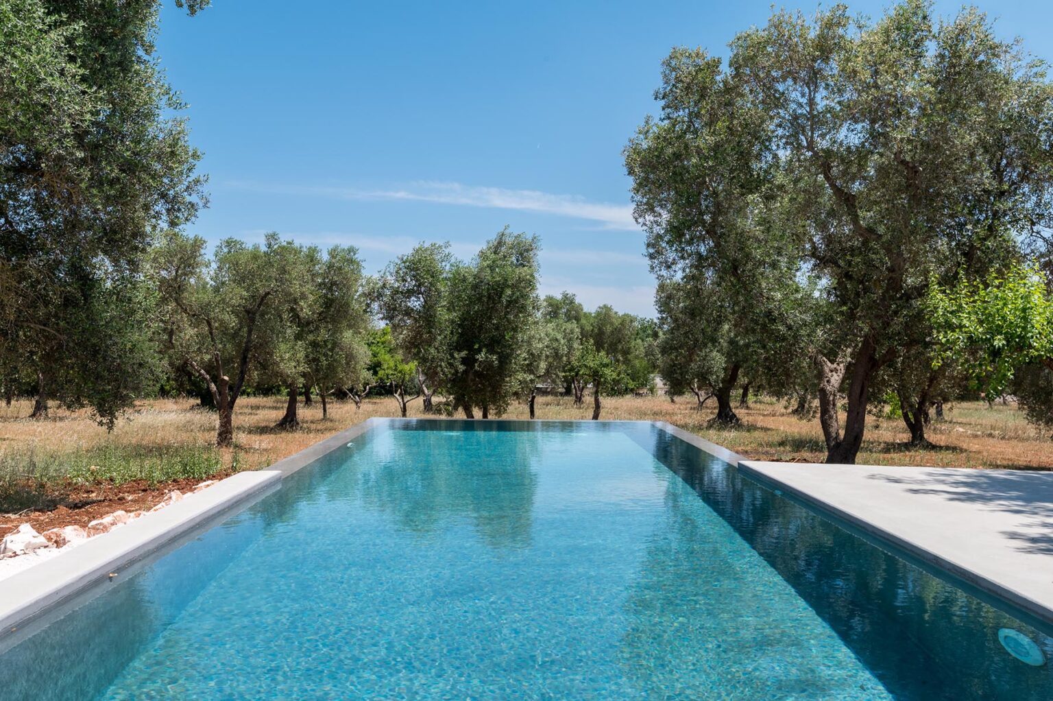Serene outdoor swimming pool surrounded by olive trees under a clear blue sky, ideal for relaxation and leisure. | Only on SopranoVillas