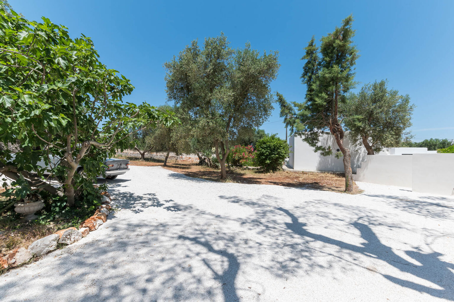 A sunny outdoor space featuring olive trees and a white gravel pathway, surrounded by lush greenery and a clear blue sky. Ideal for relaxation and outdoor activities. | Only on SopranoVillas