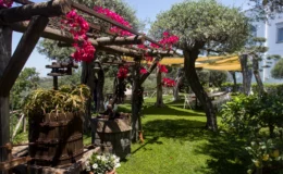  | Only on SopranoVillas