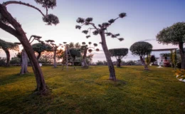 | Only on SopranoVillas
