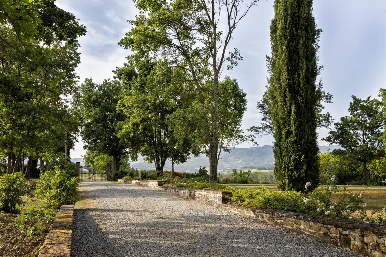 Gravel pathway surrounded by lush greenery and tall trees, leading to a scenic view in a tranquil outdoor setting. | Only on SopranoVillas