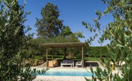 Serene outdoor pool area surrounded by olive trees, featuring a shaded seating space with comfortable furniture, perfect for relaxation in a sunny garden setting.