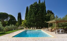 Serene outdoor pool surrounded by lush greenery and tall trees, featuring comfortable lounge chairs and a shaded seating area, perfect for relaxation in a tranquil setting.