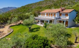 Aerial view of a charming two-story house surrounded by lush greenery and olive trees, with a spacious lawn and mountains in the background, showcasing a serene countryside setting.