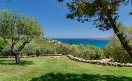 Scenic view of a lush green garden overlooking a tranquil blue ocean, framed by olive trees and a stone wall under a clear blue sky.