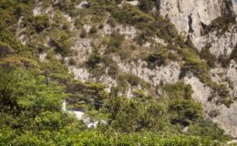  | Only on SopranoVillas