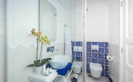 Modern bathroom interior featuring a stylish glass shower, a round basin sink, and decorative blue patterned tiles. The space is enhanced by a touch of greenery with an orchid plant and neatly arranged toiletries, creating a fresh and inviting atmosphere.