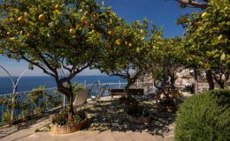 Lush lemon trees in a coastal garden overlooking the sea, featuring a relaxing seating area and bright blue sky, perfect for outdoor relaxation and scenic views.