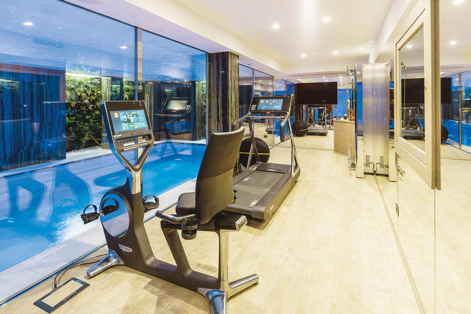 Modern gym interior featuring a treadmill and elliptical machine, with large windows overlooking a pool area, creating a bright and inviting workout environment. | Only on SopranoVillas
