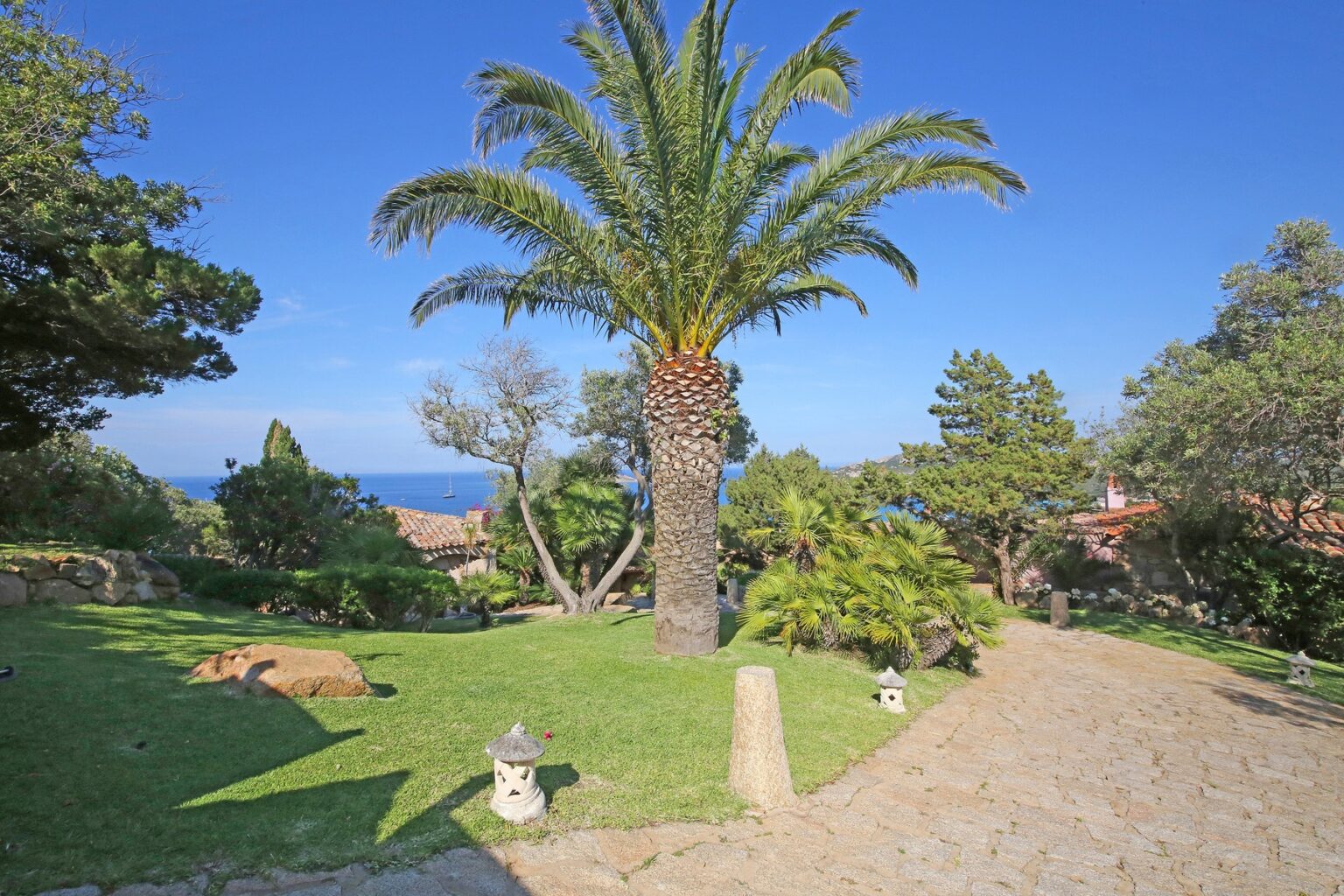 Lush garden landscape featuring a tall palm tree, surrounded by greenery and ocean views under a clear blue sky. Ideal for showcasing tropical outdoor spaces or vacation properties. | Only on SopranoVillas