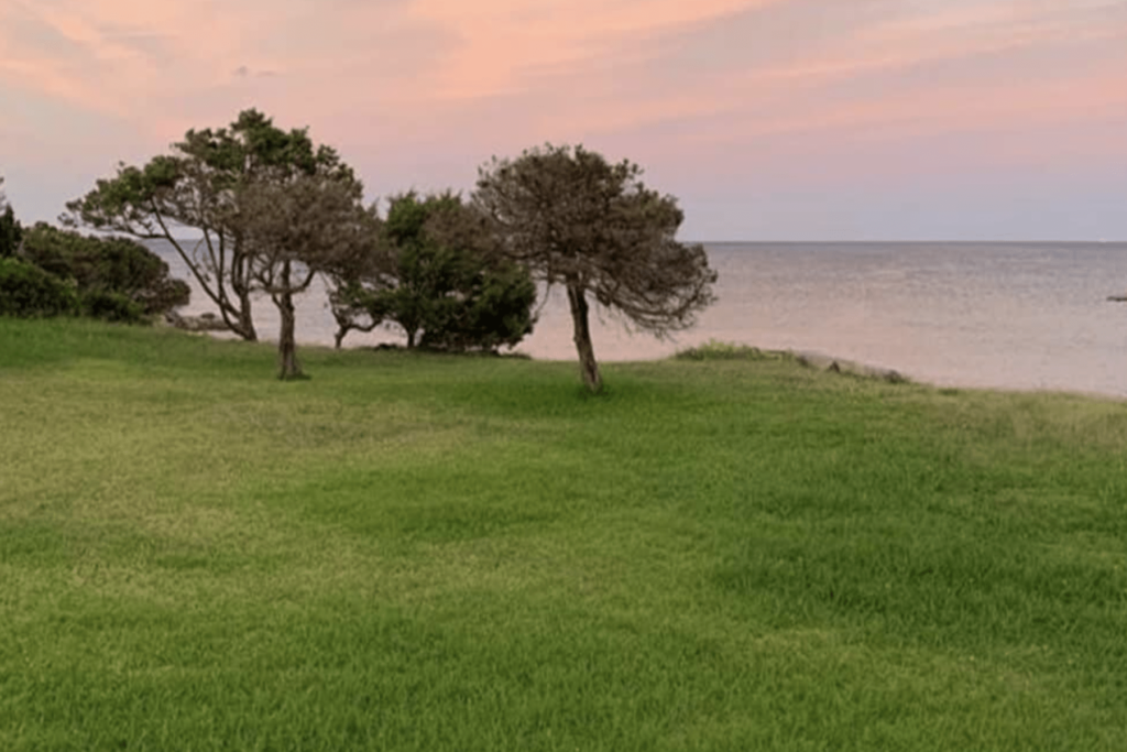 Scenic view of a lush green lawn with trees overlooking a serene ocean at sunset, featuring soft pastel skies. | Only on SopranoVillas