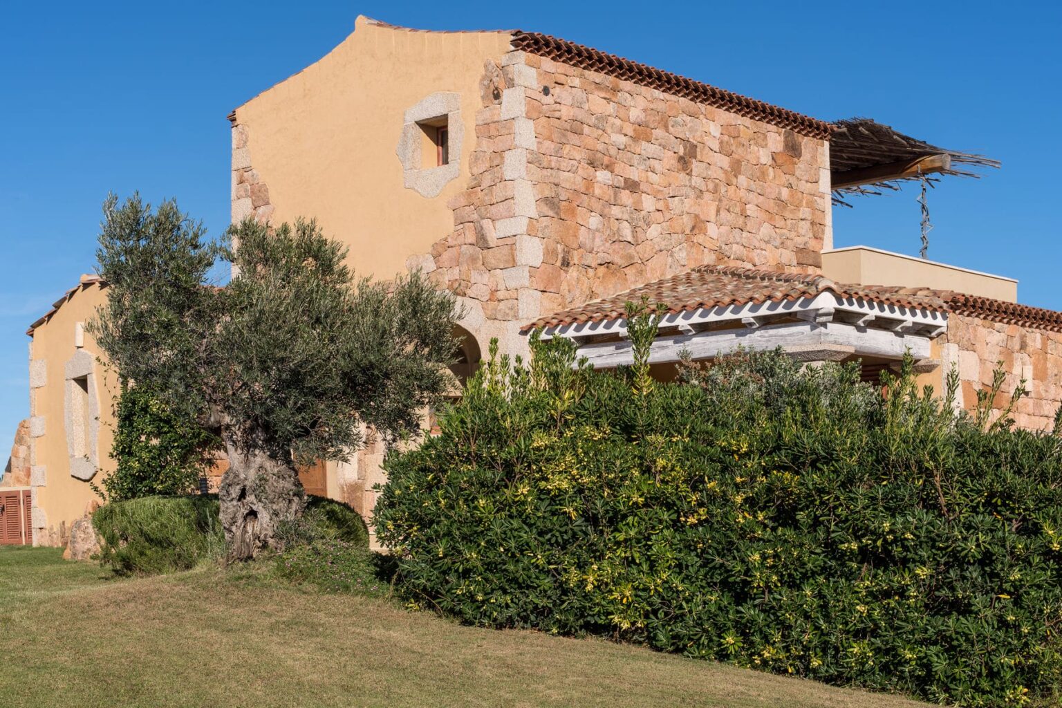 Rustic stone house surrounded by lush greenery and an olive tree, set against a clear blue sky. The architecture features a mix of traditional stonework and modern design elements, showcasing a blend of natural materials and vibrant landscaping. Ideal for showcasing Mediterranean-style homes or nature-inspired architecture. | Only on SopranoVillas