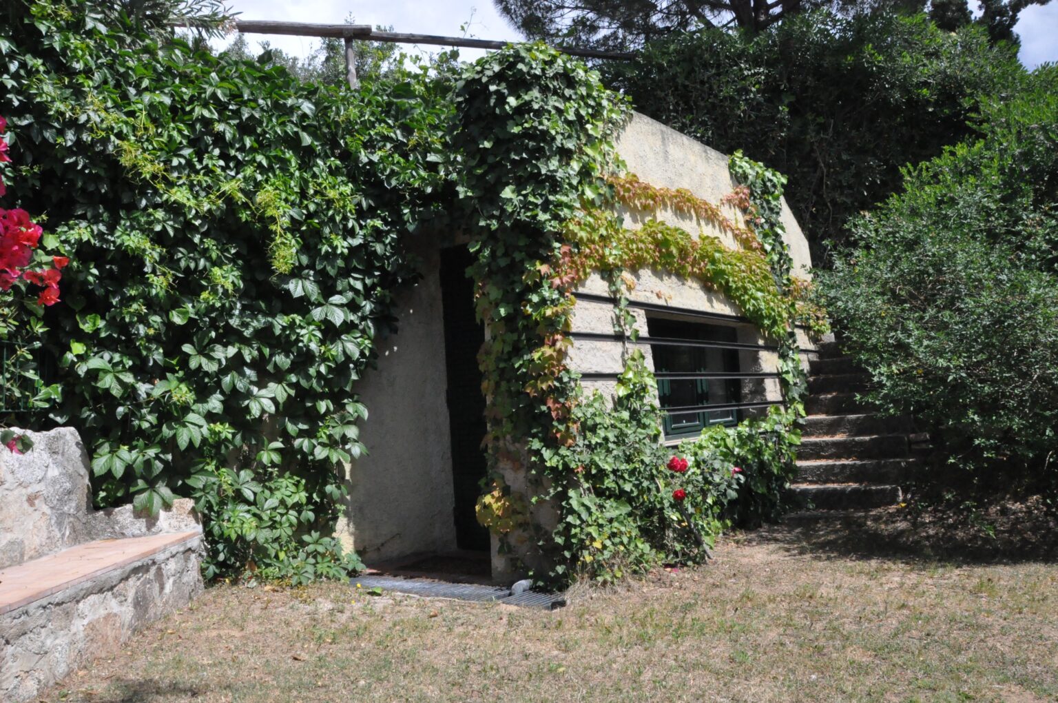 Vibrant green ivy and colorful flowers adorn the exterior of a unique stone house, blending seamlessly with the natural surroundings. The structure features a modern design with large windows and a set of stone steps leading to a lush garden area. | Only on SopranoVillas