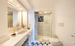 Modern bathroom featuring a spacious vanity with a large mirror, stylish sink, and organized toiletries. The glass shower enclosure showcases a contemporary design, while the blue and white patterned tiles add a vibrant touch to the floor. Natural light brightens the space, enhancing the clean and elegant aesthetic.
