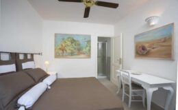 Cozy hotel room featuring a queen-sized bed with brown bedding, a white desk and chair, and colorful artwork on the walls. The room includes a ceiling fan and an en-suite bathroom. Ideal for travelers seeking comfort and style.
