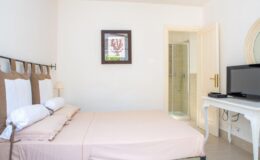 Cozy hotel room featuring a double bed with neutral bedding, a wall-mounted TV, and an en-suite bathroom. Decorated with a framed artwork, the space offers a bright and inviting atmosphere. Ideal for travelers seeking comfort and convenience.
