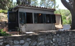 Charming rustic cabin with green shutters, surrounded by trees and plants, featuring a stone wall and wooden deck for outdoor relaxation. Ideal for nature retreats and cozy getaways.