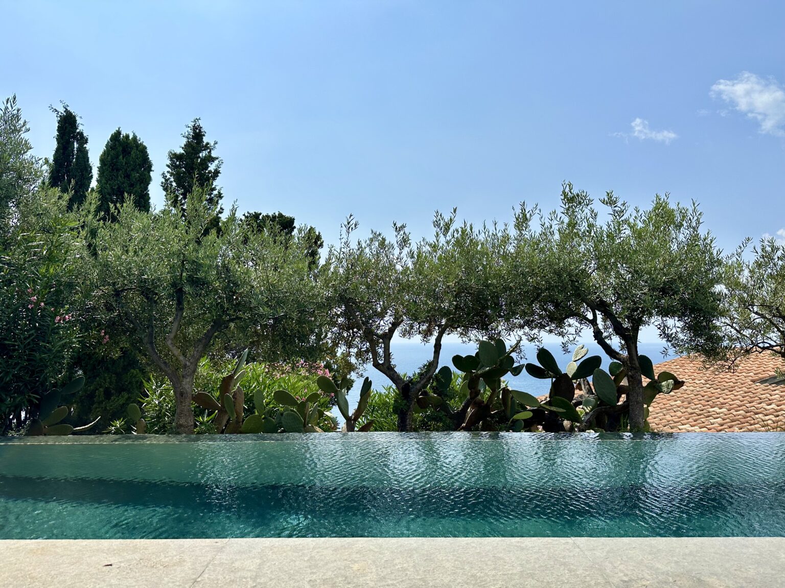 Scenic view of an infinity pool surrounded by olive trees and lush greenery, with a clear blue sky and distant ocean in the background. | Only on SopranoVillas