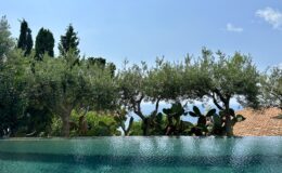 Scenic view of an infinity pool surrounded by olive trees and lush greenery, with a clear blue sky and distant ocean in the background.