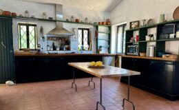 Bright and spacious kitchen featuring a central wooden table with lemons, black cabinets, and green shelves filled with dishes and cooking essentials. The room is illuminated by natural light from the windows, showcasing a blend of rustic and modern design elements.