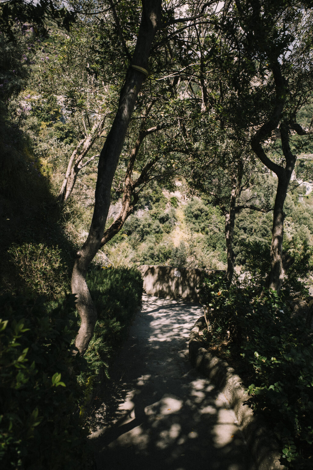 Scenic pathway surrounded by lush greenery leading to luxury villas for rent in Italy, showcasing the tranquil natural beauty of the Italian countryside. | Only on SopranoVillas