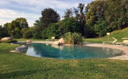 Serene outdoor swimming pool surrounded by lush greenery and comfortable lounge chairs, ideal for relaxation and leisure in a natural setting.