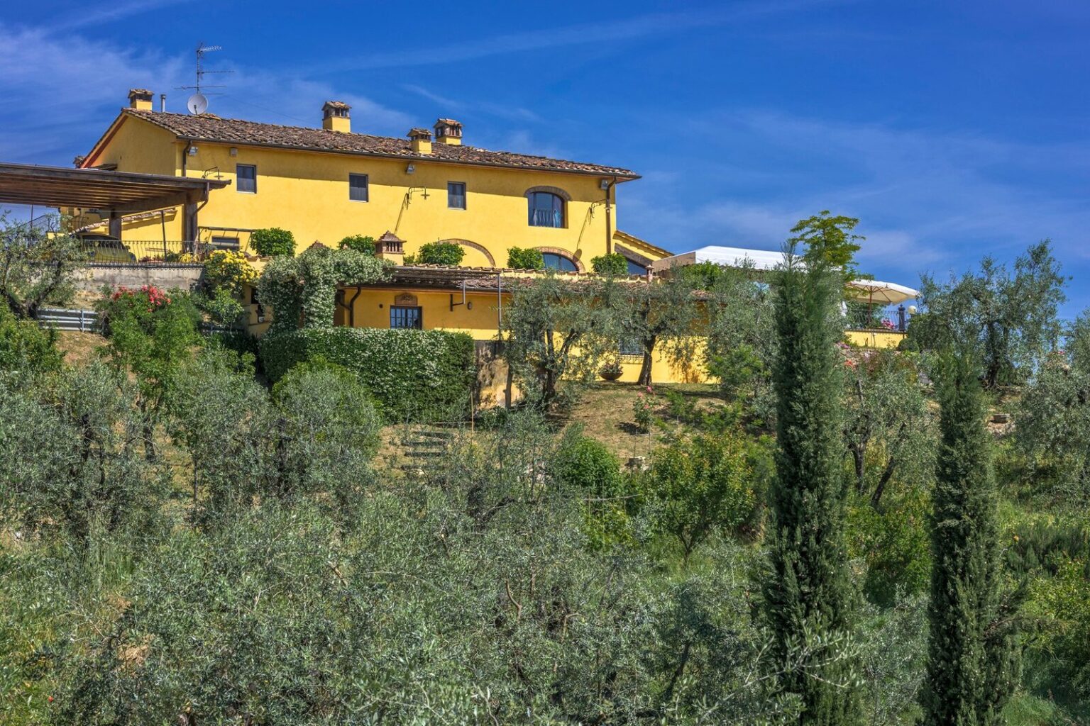 Vibrant yellow villa surrounded by lush olive trees under a clear blue sky, showcasing a picturesque countryside setting. | Only on SopranoVillas