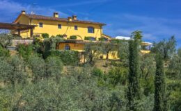 Vibrant yellow villa surrounded by lush olive trees under a clear blue sky, showcasing a picturesque countryside setting.