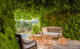  | Only on SopranoVillas
