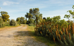  | Only on SopranoVillas