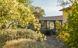  | Only on SopranoVillas