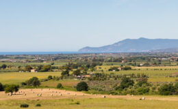  | Only on SopranoVillas